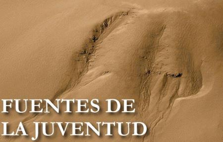 Fuentes de la juventud